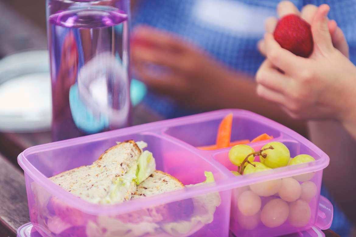Photo of a school packed lunch in a reusable container with reusable water bottle