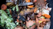Inside compost bin
