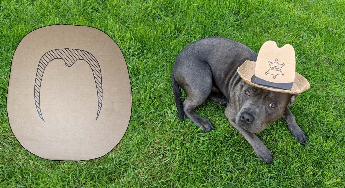 image of a dog dressed up with a sheriff's hat on