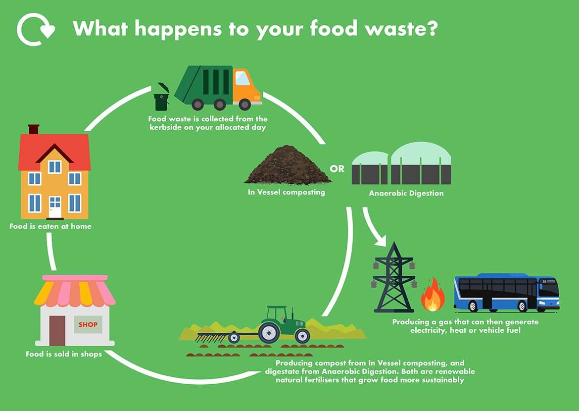 The cycle of food waste is shown