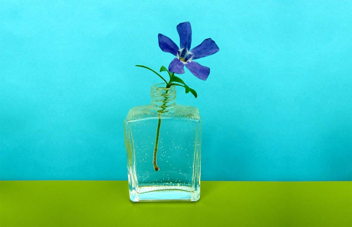 Photo of a purple flower in a reused glass perfume bottle against a pale blue and green background.jpg
