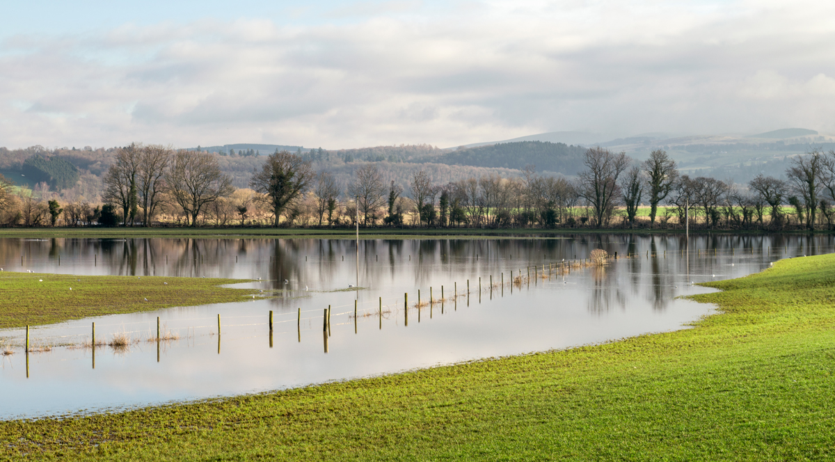 Scottish river banks flooding a field