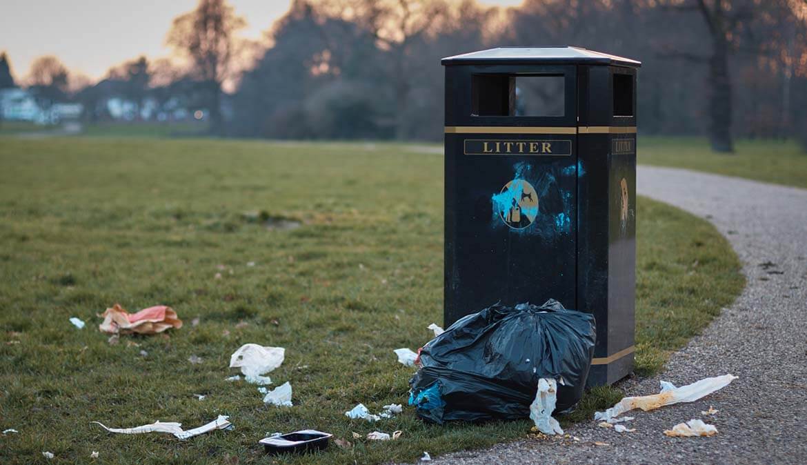 litter and flytipping - bin in a park (1).jpg