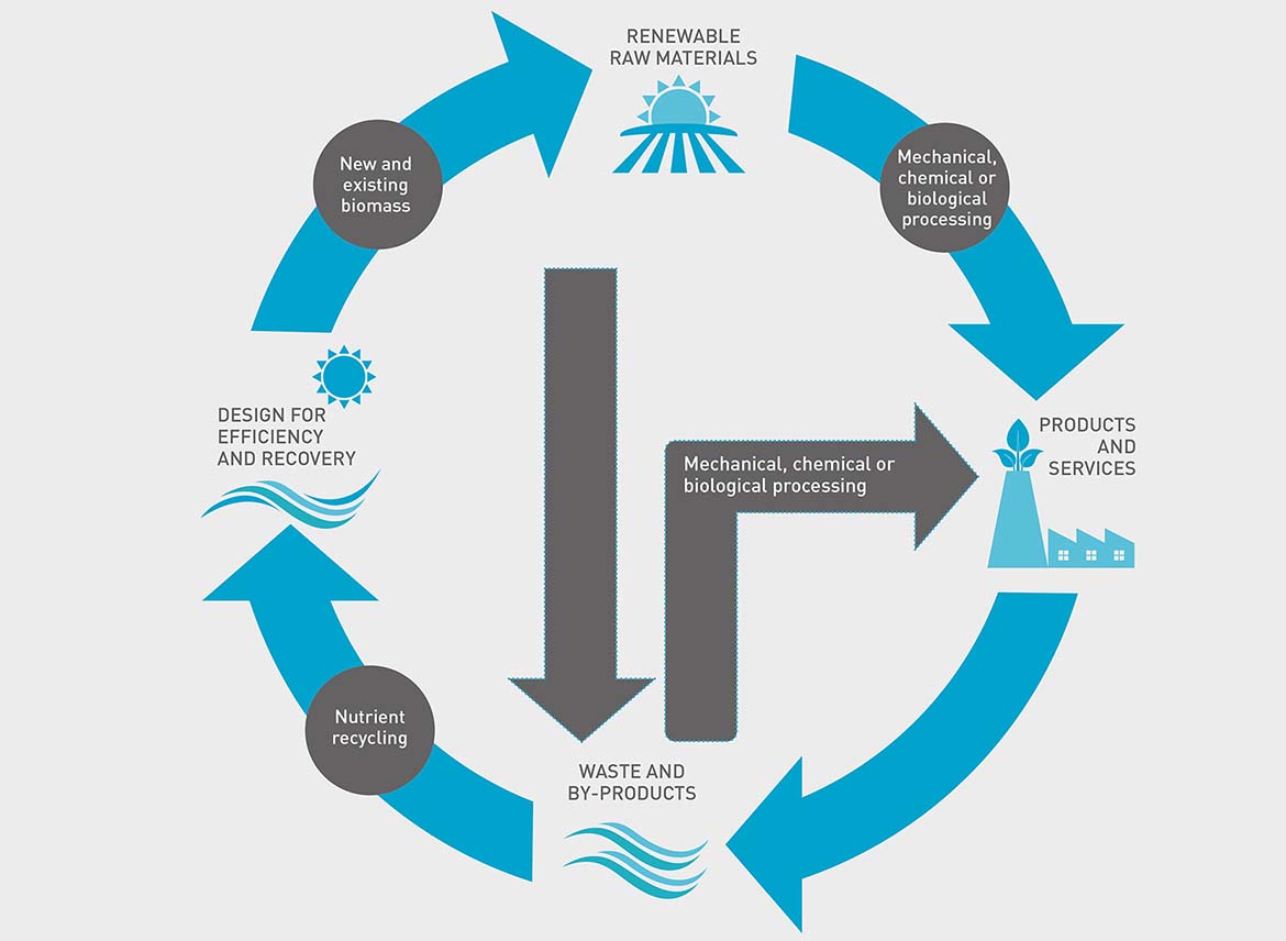 Infographic showing the processes of the bioeconomy