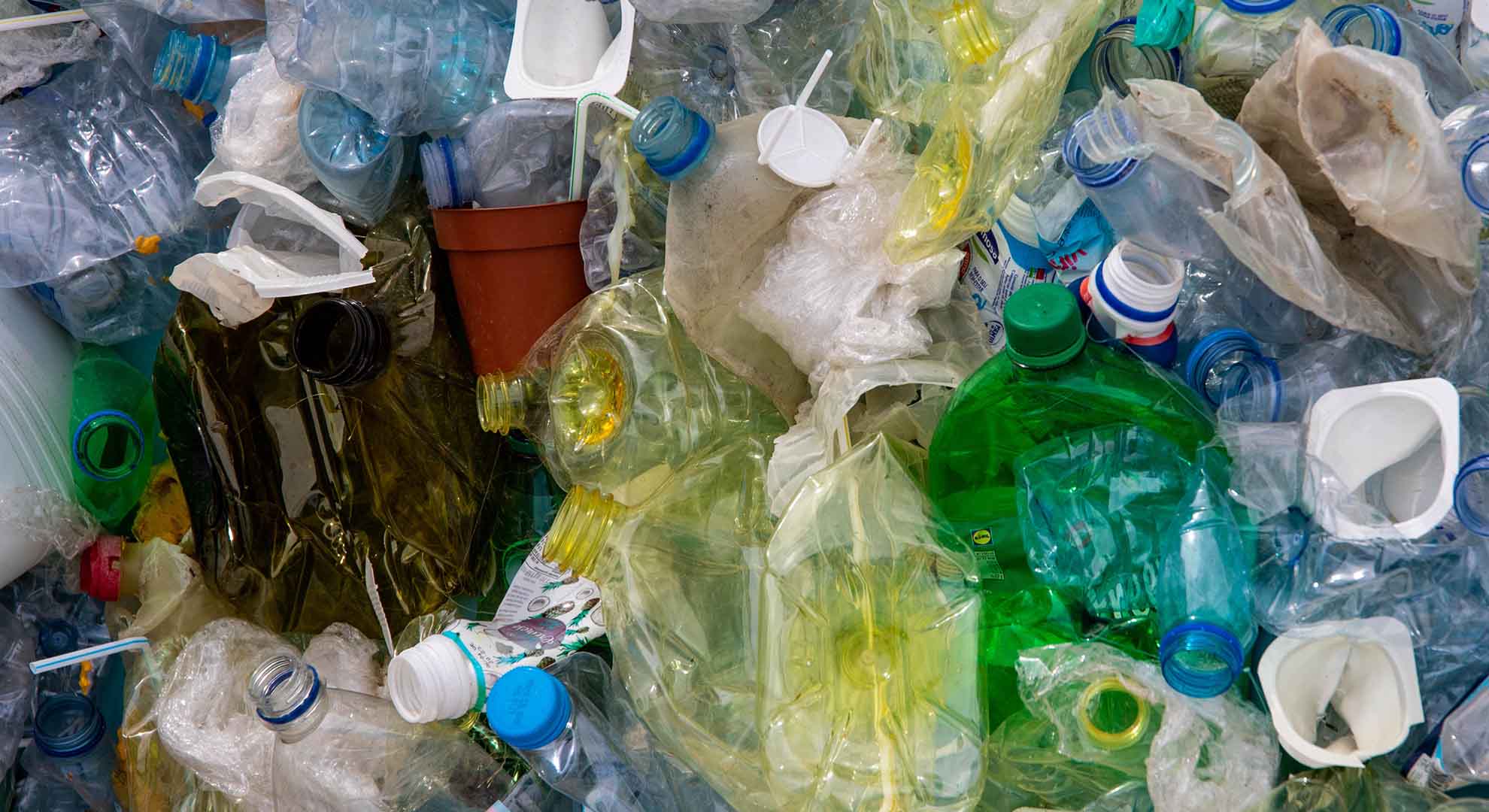 Selection of used plastic bottles