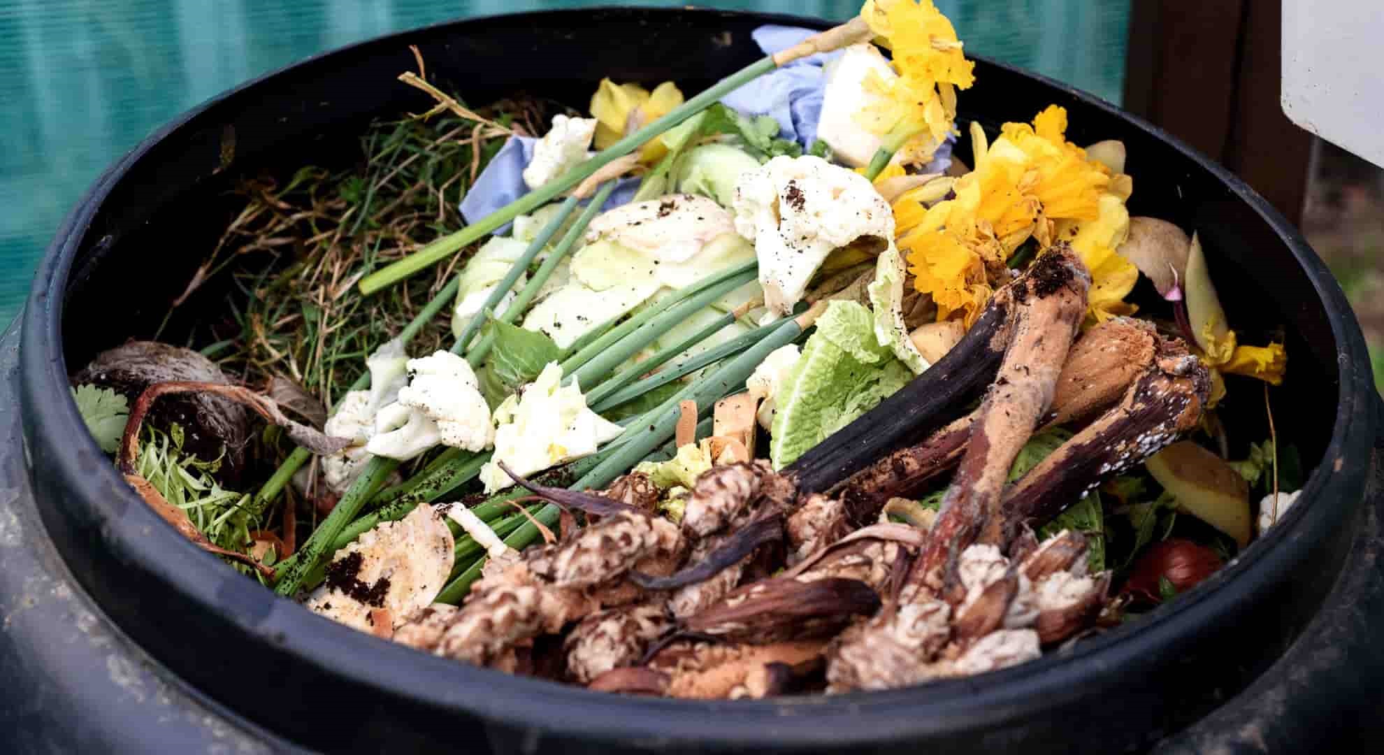 compost bin filled with leaves and flowers