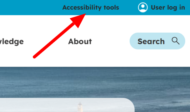 Graphic of the icon used to access the accessibility toolbar - black text which says "accessibility tools" on a blue background.